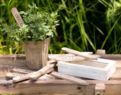 Wooden Herb Plant Stakes in Wooden Box, Set of 9