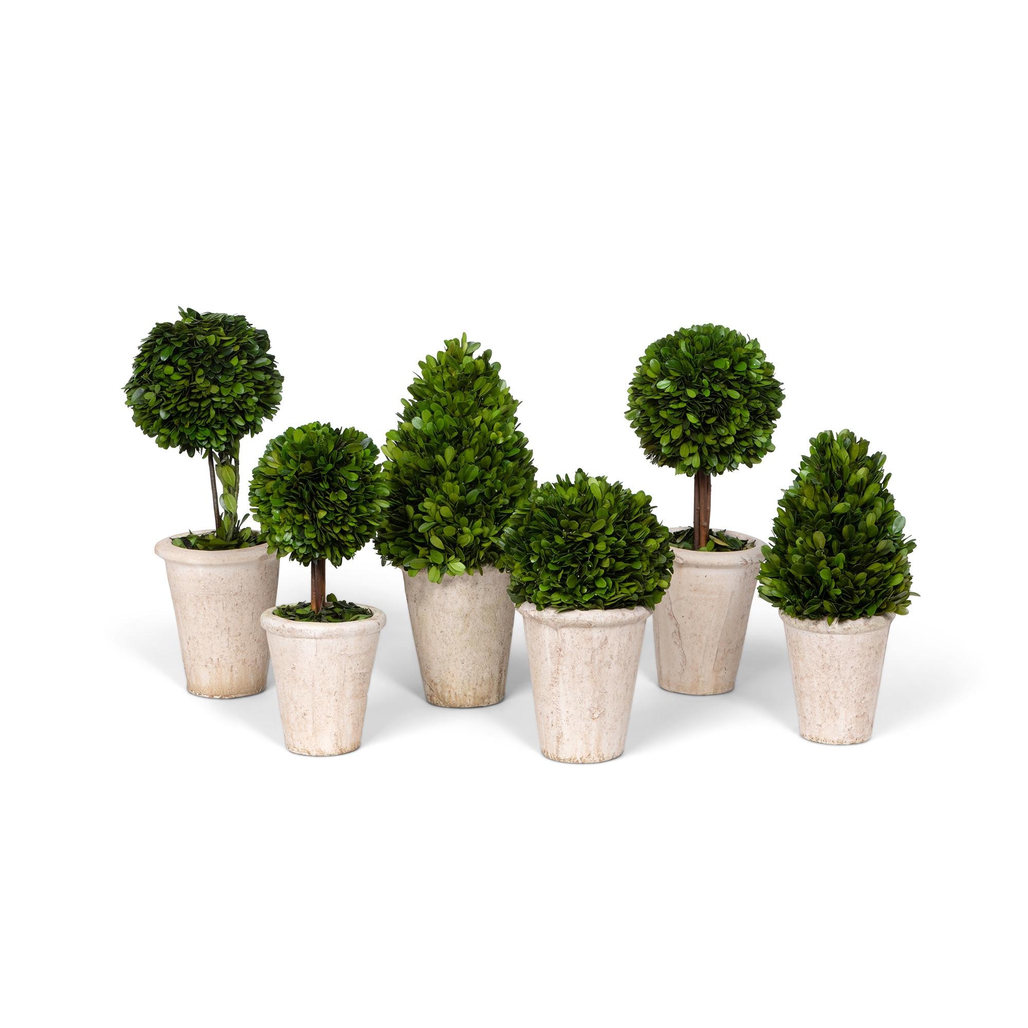 Country Topiary deals Set