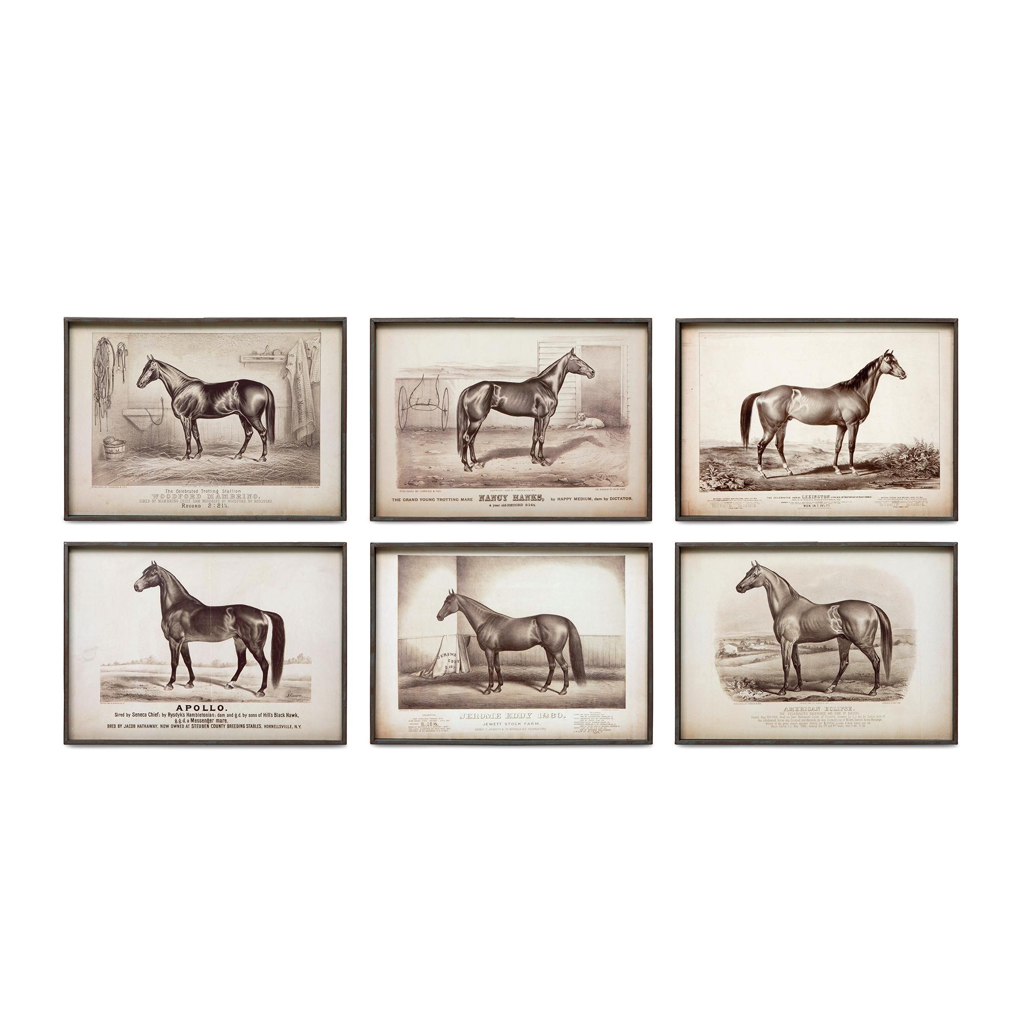 Prized Race Horse Framed Prints, 6 Assorted Styles