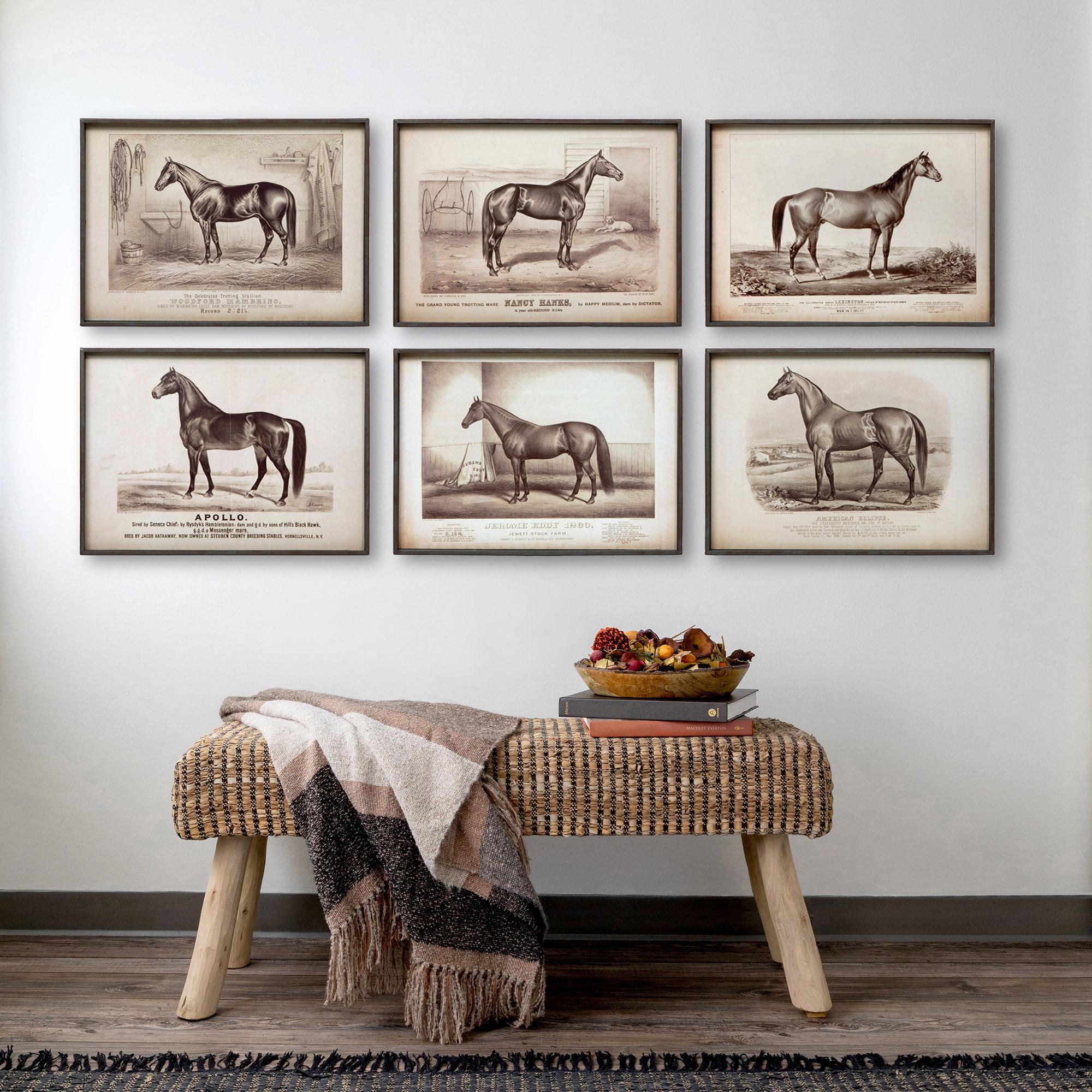 Prized Race Horse Framed Prints, 6 Assorted Styles